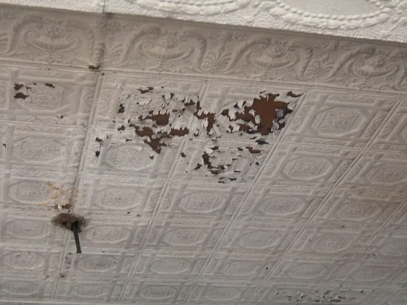 a lead paint on the ceiling peeling off